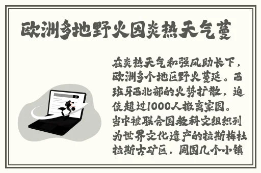 国产精片久久久久久婷婷